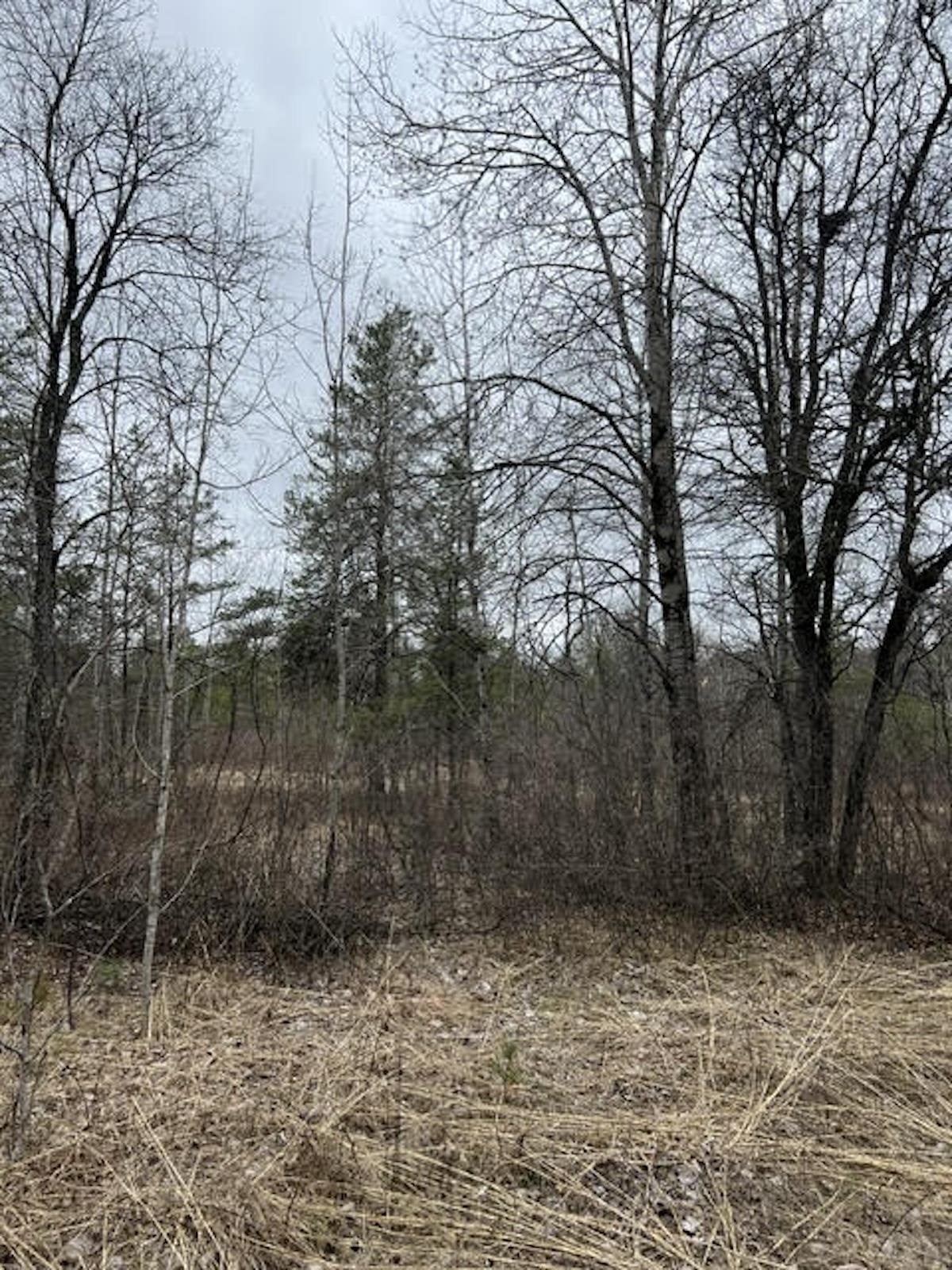 Evan Hill Road, Unit 3 Crivitz, WI 54114 - Photo 1 of 1 Gallery Image 1