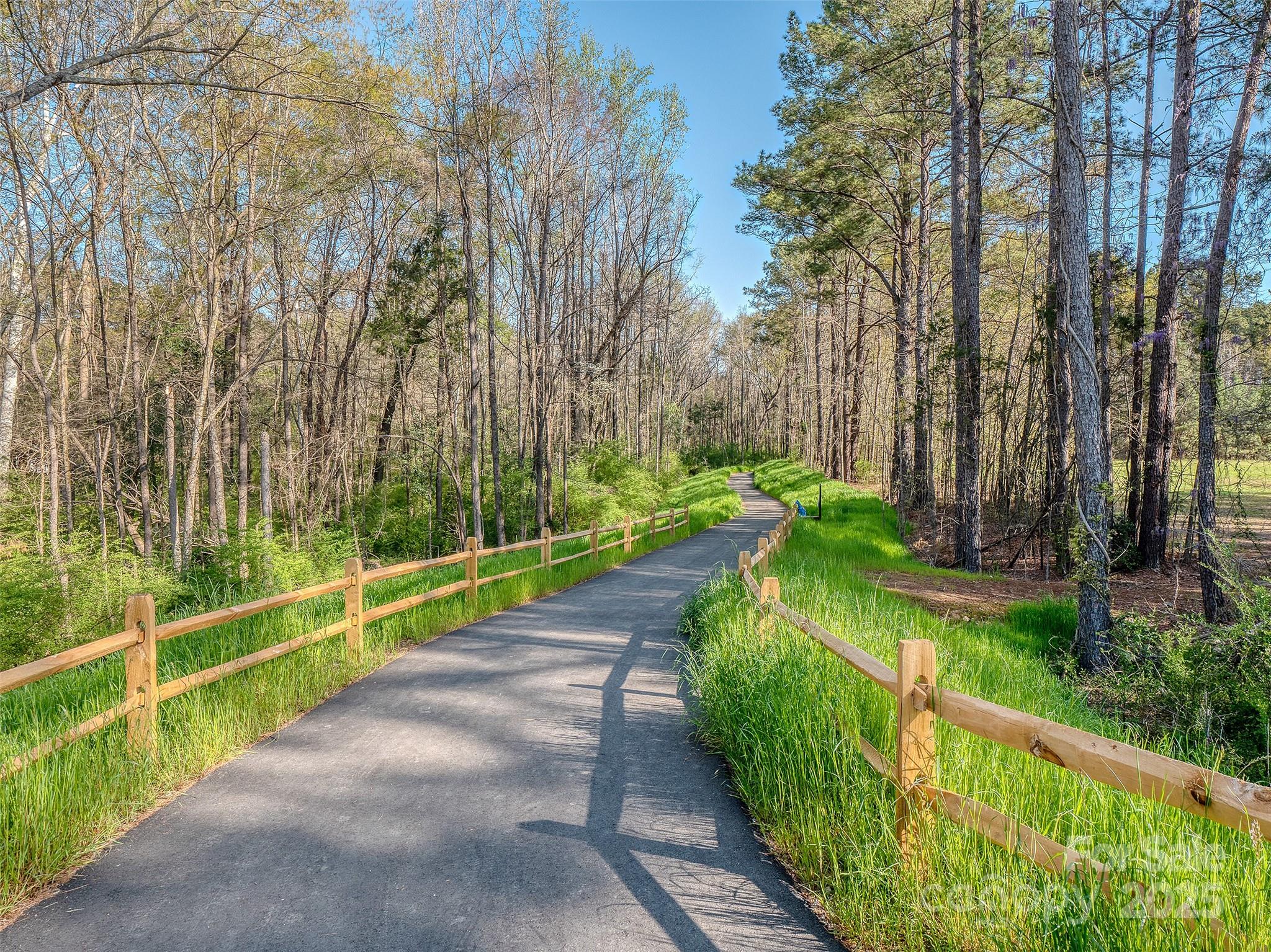 300 Elm Street Lancaster, SC 29720 - Photo 28 of 43 a view of a pathway with a yard