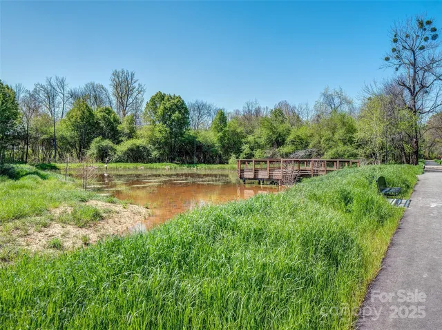 a view of a water pond with green yard