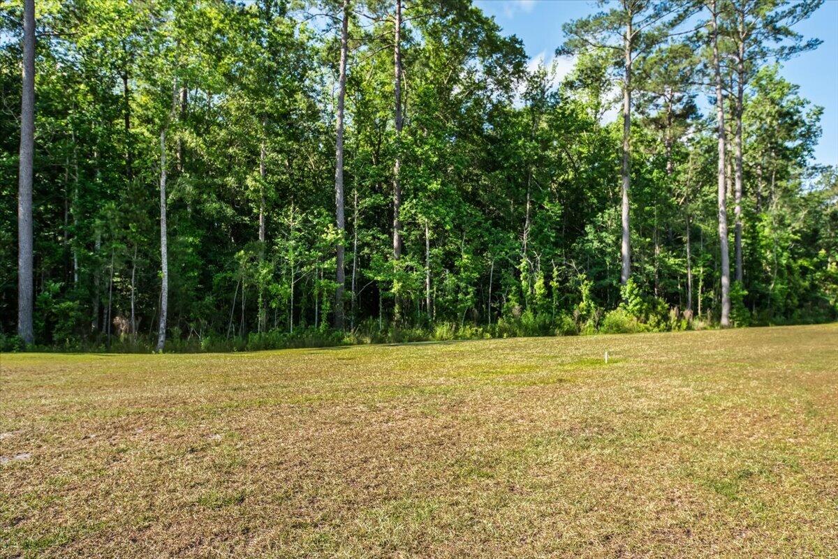 277 Ivory Shadow Road Summerville, SC 29486 - Photo 28 of 40 28-DKM5866