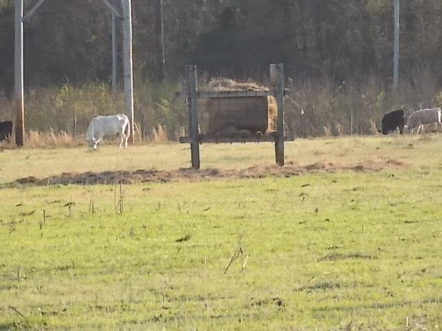 0 West Raysor Street St. George, SC 29477 - Photo 5 of 8 Hay feeder