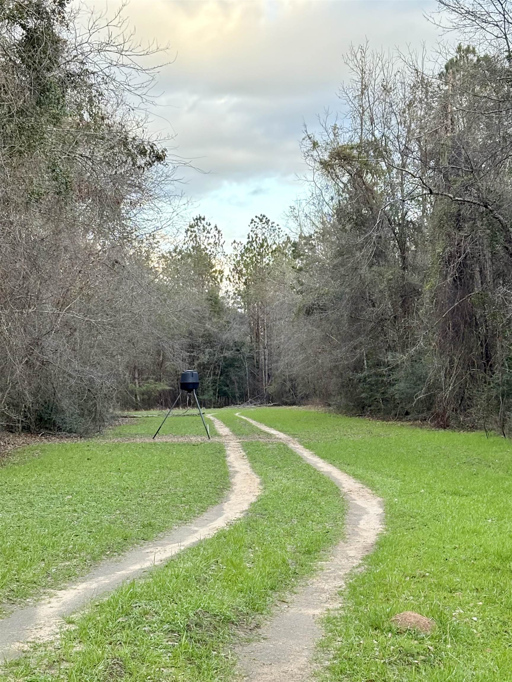 0 James Brooks Road Atmore, AL 36502 - Photo 8 of 16 Community