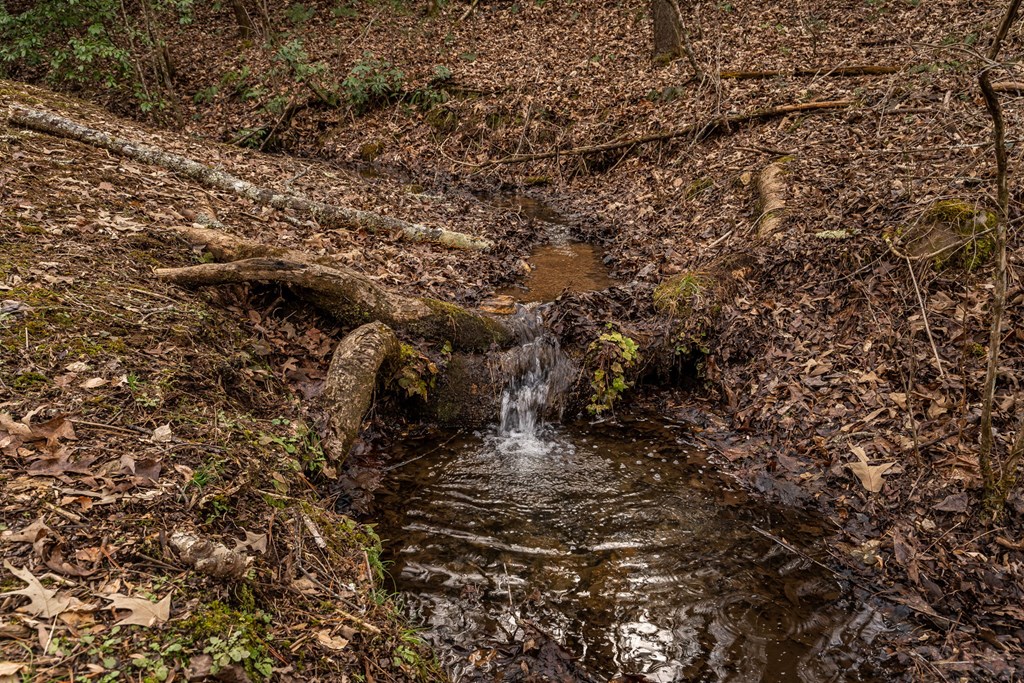 15 Bootleg Mountain Road Morganton, GA 30560 - Photo 53 of 67