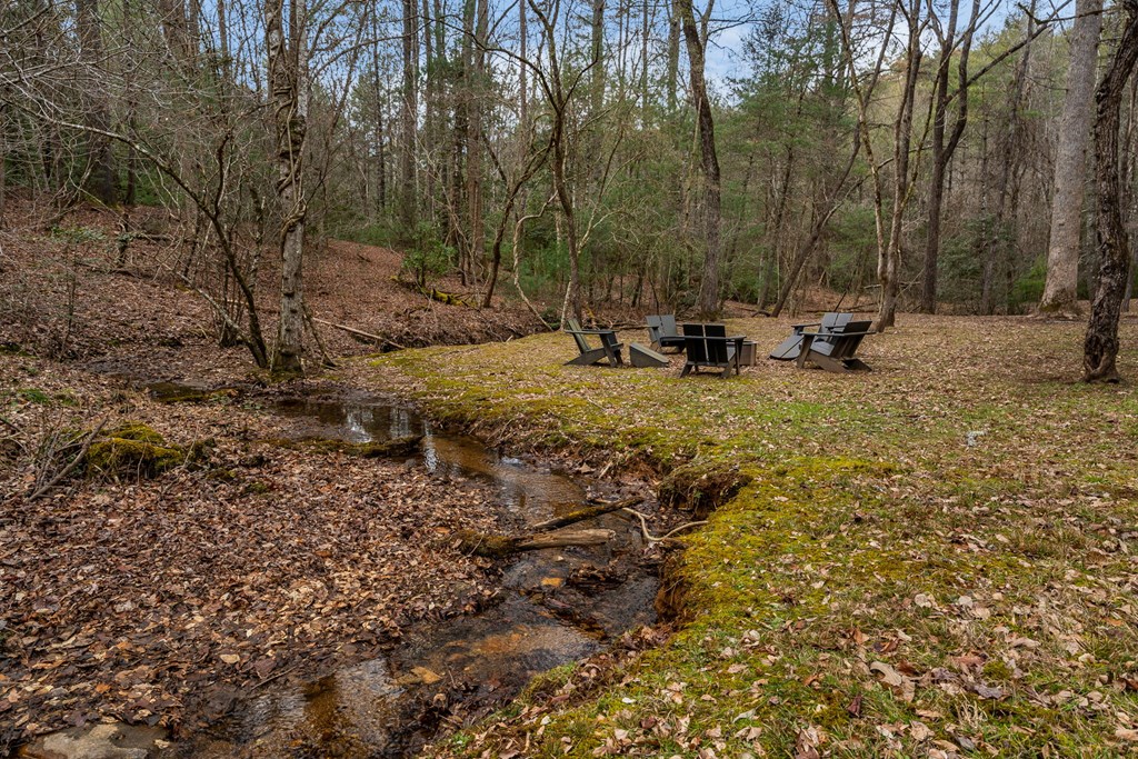 15 Bootleg Mountain Road Morganton, GA 30560 - Photo 54 of 67