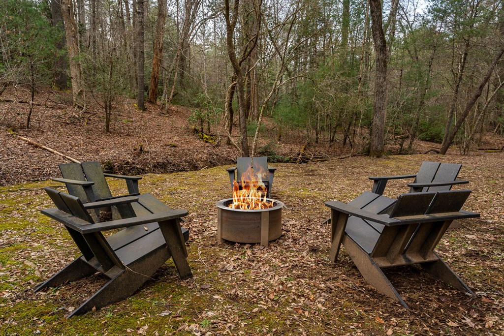 15 Bootleg Mountain Road Morganton, GA 30560 - Photo 55 of 67