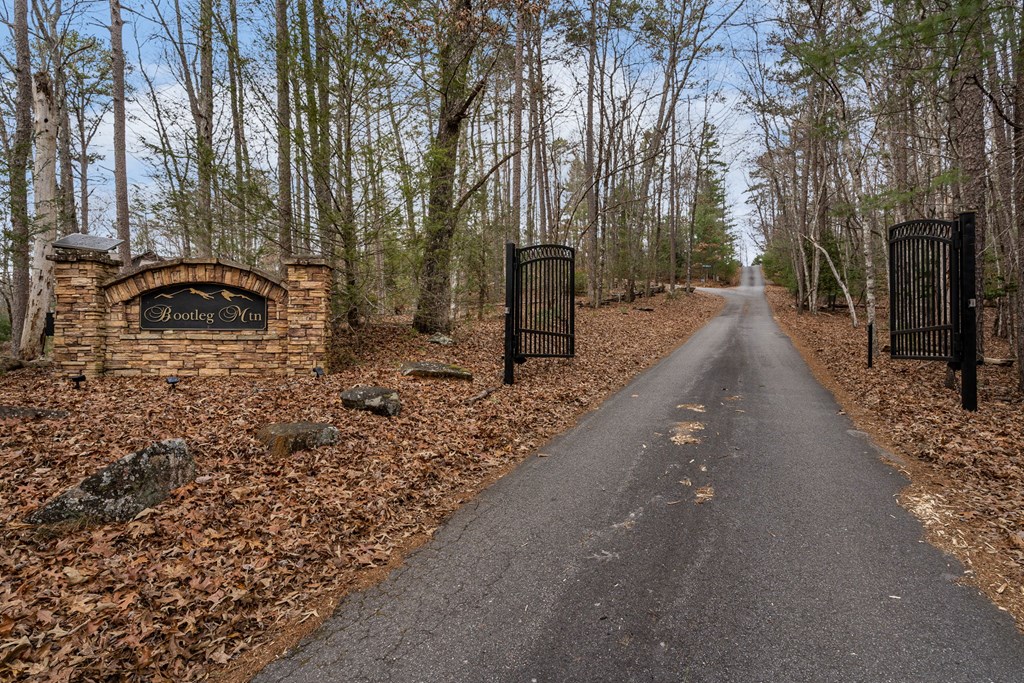 15 Bootleg Mountain Road Morganton, GA 30560 - Photo 67 of 67 a view of street with trees