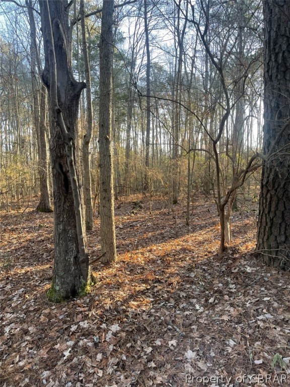 244-ac 244-ac Buzzard Point Road Diggs, VA 23045 - Photo 8 of 14