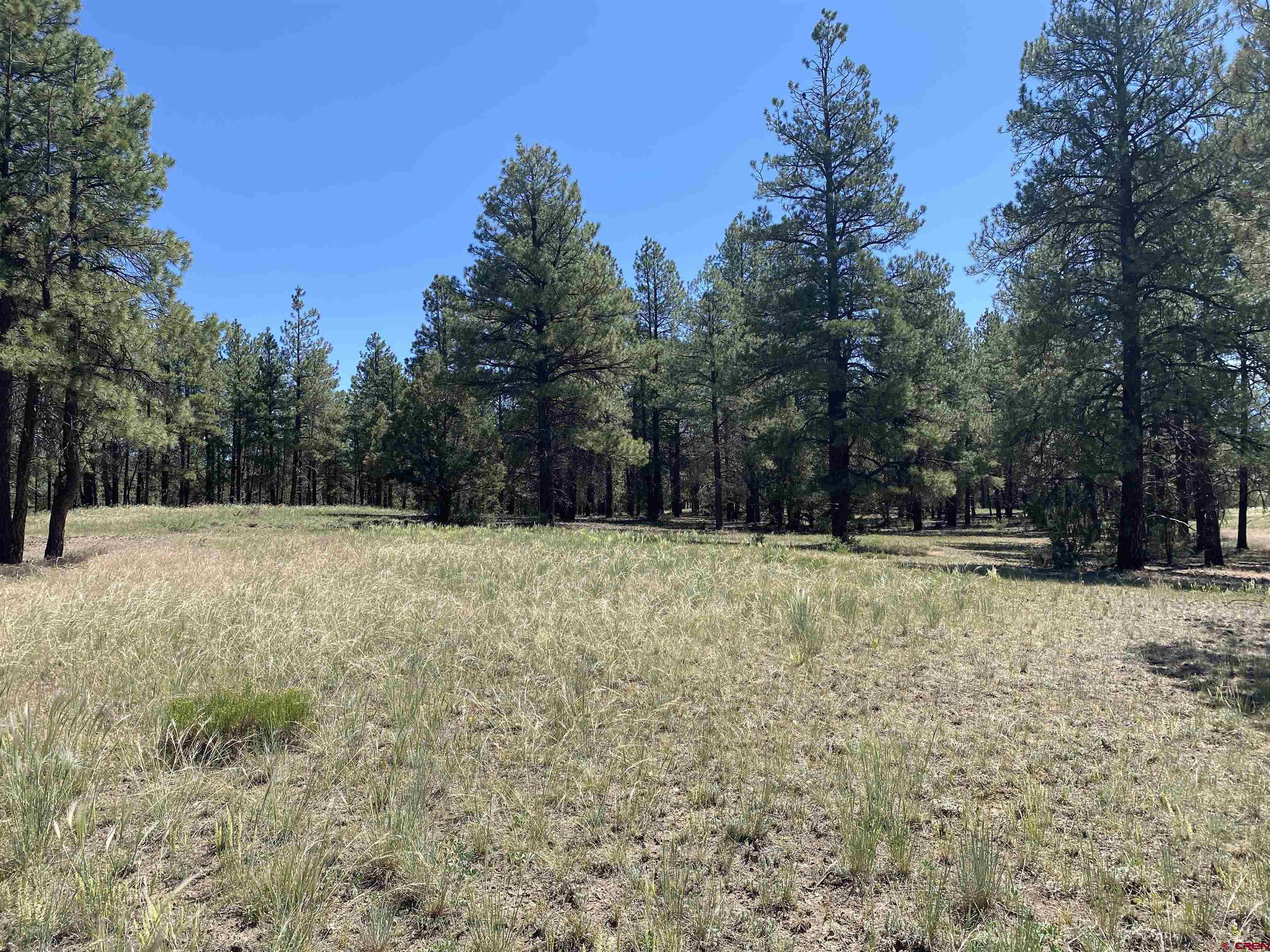 X Rumbaugh Road Pagosa Springs, CO 81147 - Photo 2 of 21 Gallery Image 2