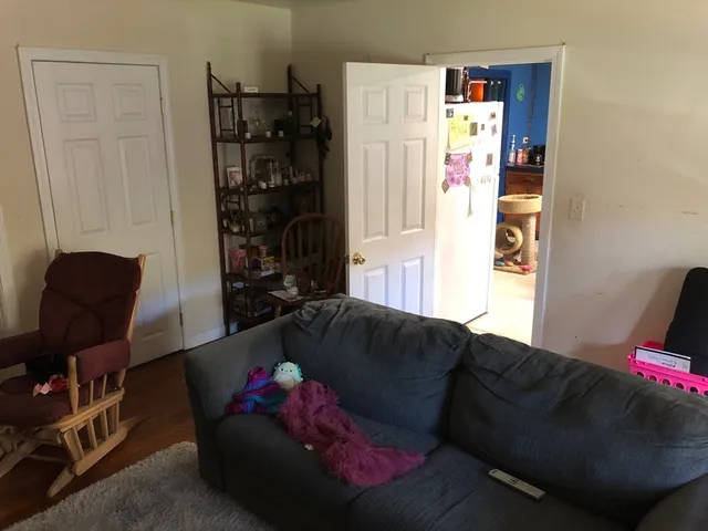 a living room with furniture and a couch