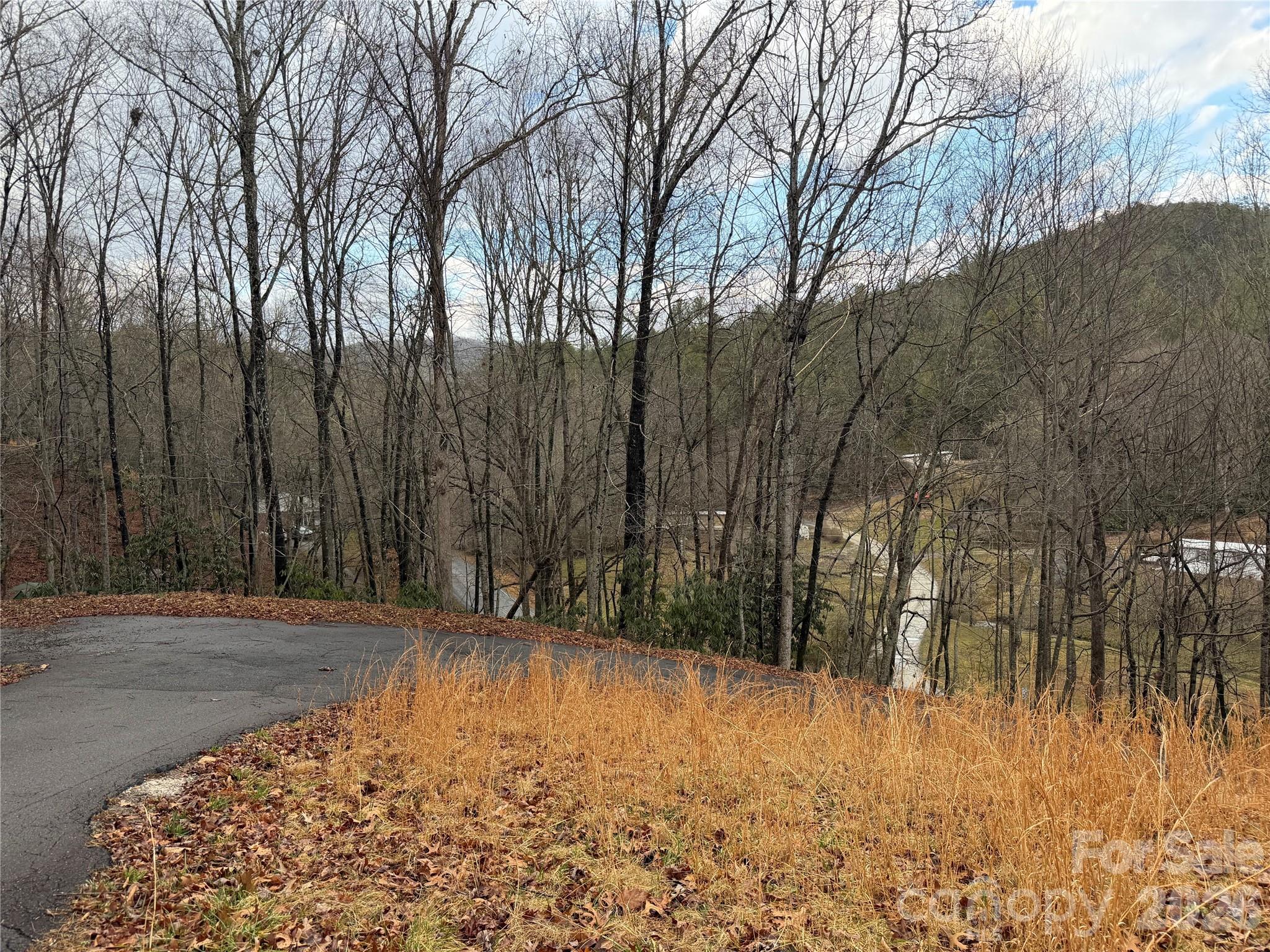 233 Lyday Creek Road Pisgah Forest, NC 28768 - Photo 2 of 8