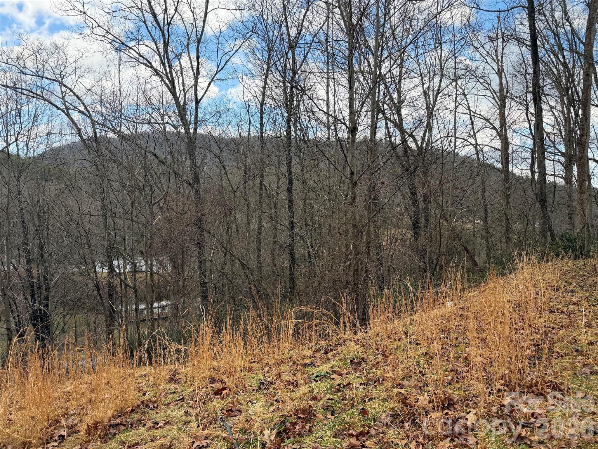 233 Lyday Creek Road Pisgah Forest, NC 28768 - Photo 3 of 8