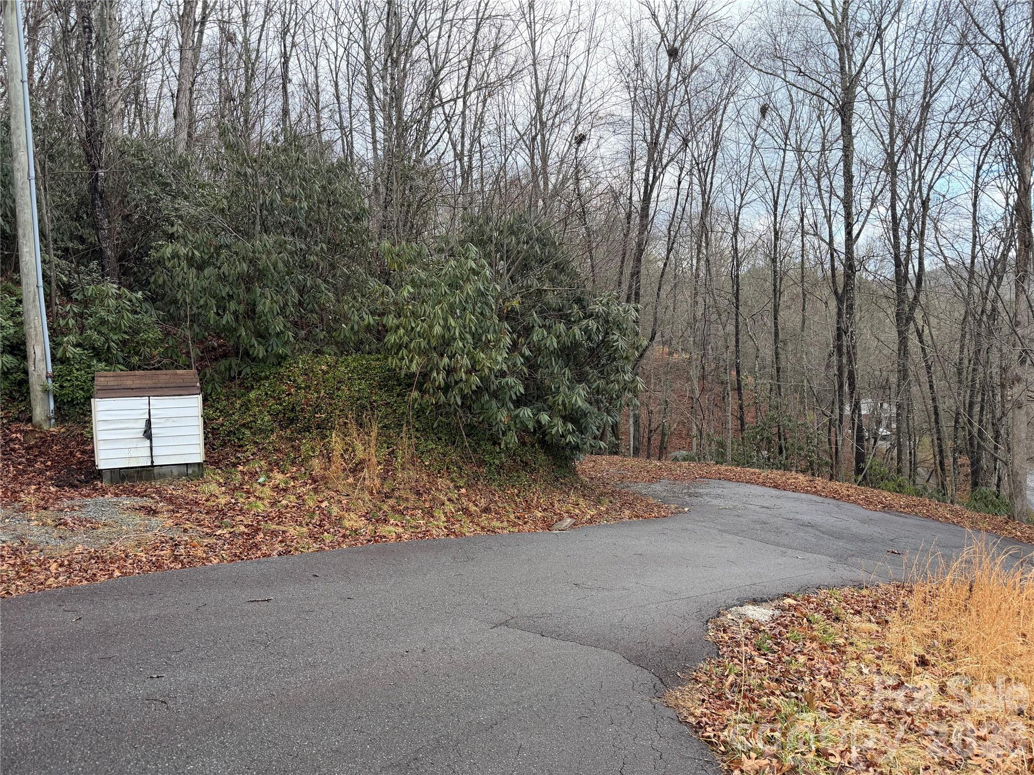 233 Lyday Creek Road Pisgah Forest, NC 28768 - Photo 4 of 8