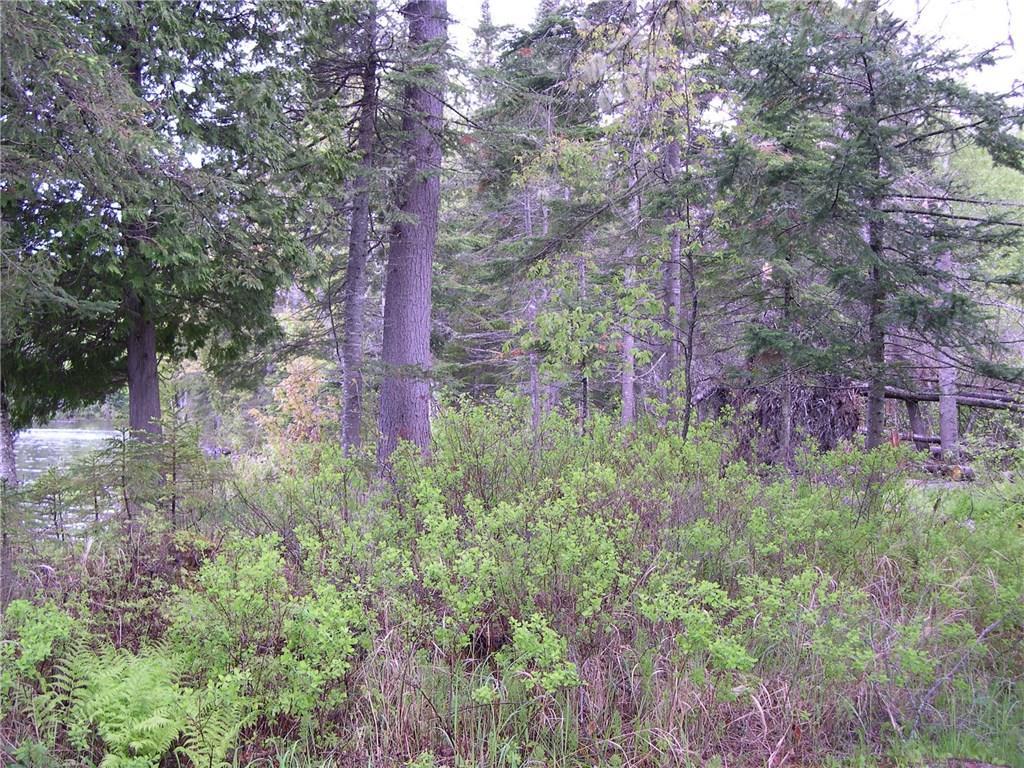 62 Hernborg Road Rangeley, ME 04970 - Photo 22 of 30 side yard, vacant land