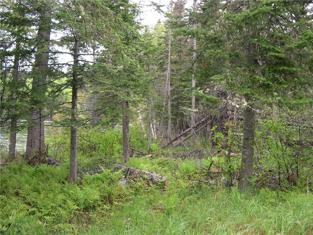 62 Hernborg Road Rangeley, ME 04970 - Photo 23 of 30 side yard