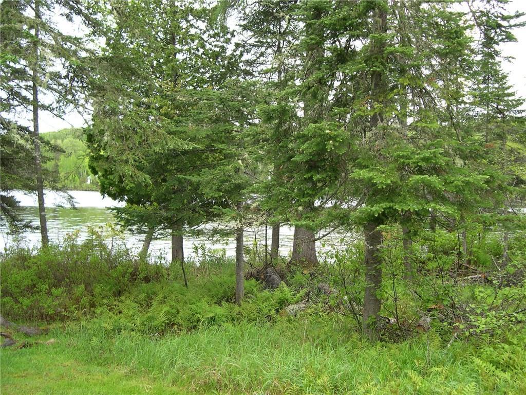 62 Hernborg Road Rangeley, ME 04970 - Photo 24 of 30 side yard