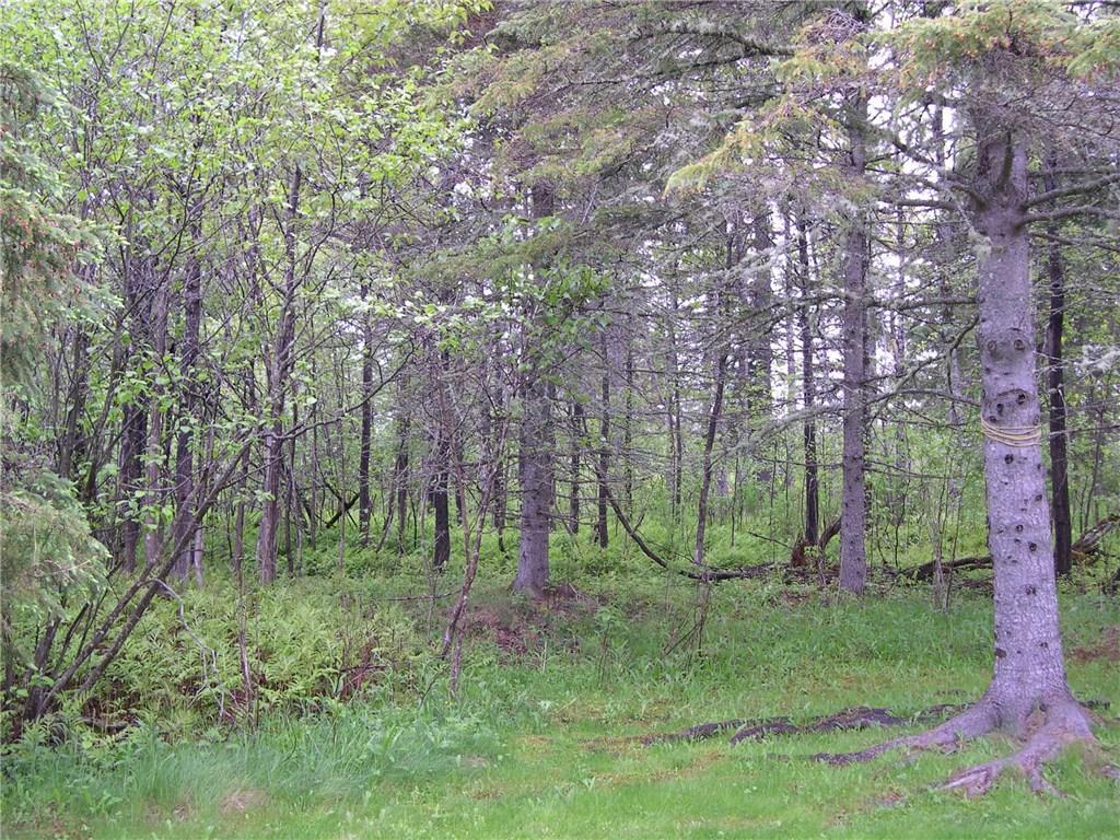 62 Hernborg Road Rangeley, ME 04970 - Photo 25 of 30 looking up toward the road