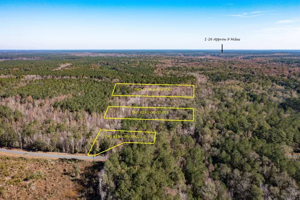 $115,000 | 1 Dennis Britt Road, St. George, SC 29477