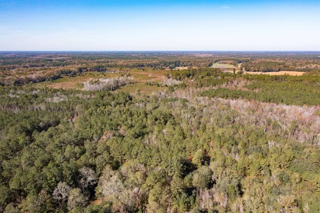 $115,000 | 1 Dennis Britt Road, St. George, SC 29477