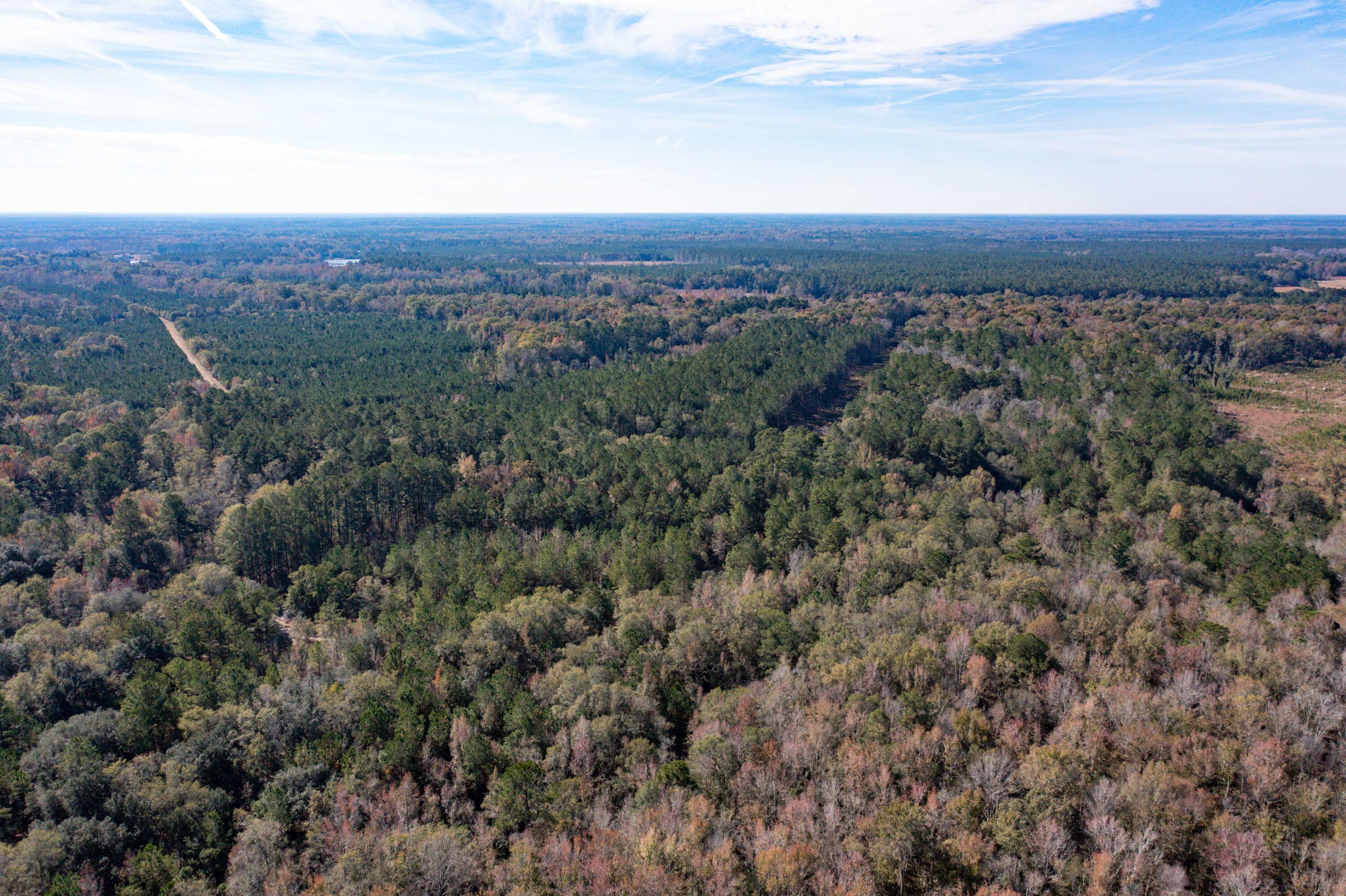 1 Dennis Britt Road St. George, SC 29477 - Photo 12 of 24 DJI_0196