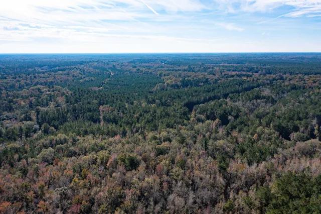 $115,000 | 1 Dennis Britt Road, St. George, SC 29477