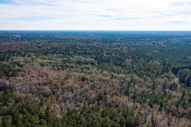 $115,000 | 1 Dennis Britt Road, St. George, SC 29477