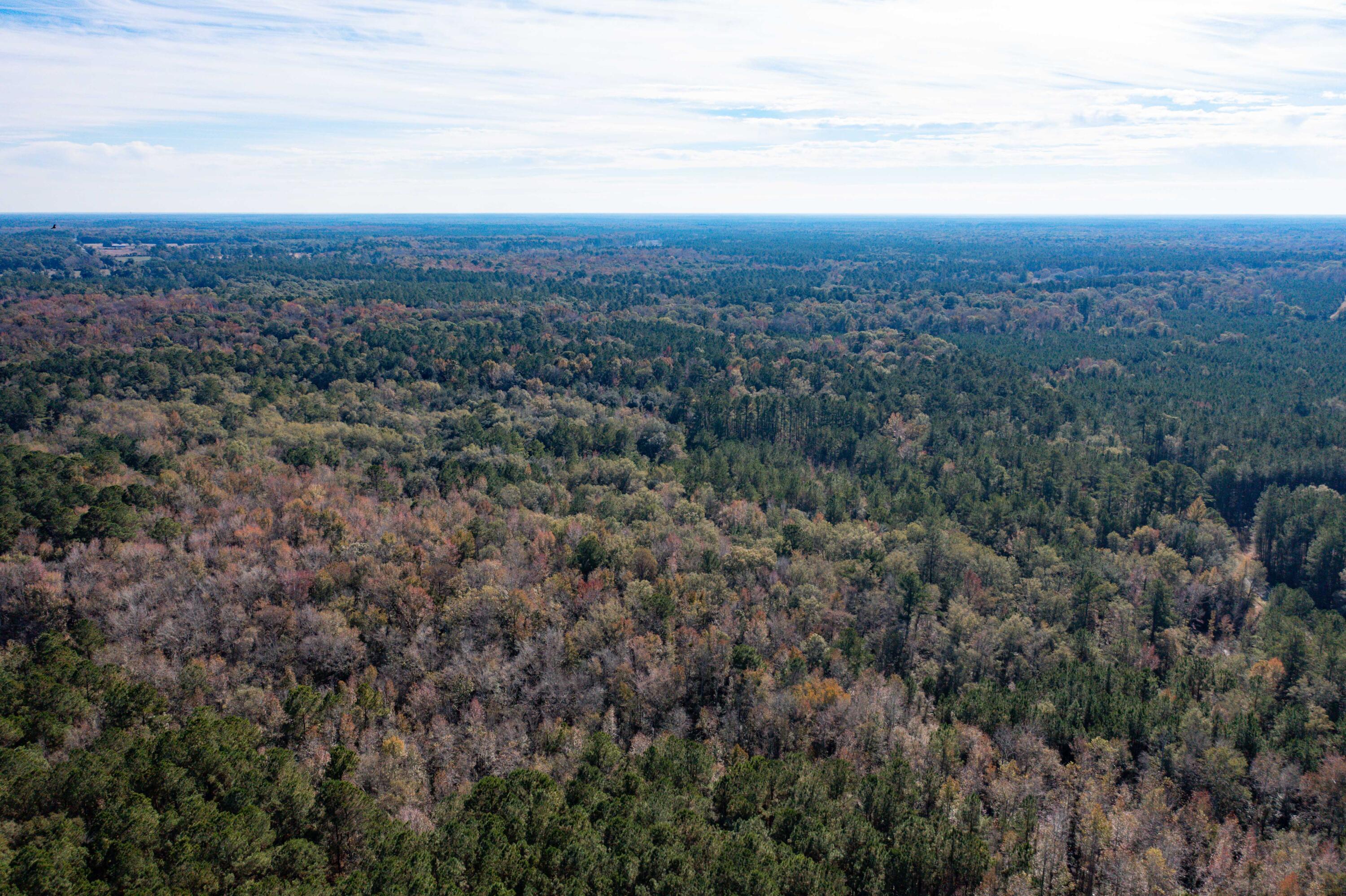 1 Dennis Britt Road St. George, SC 29477 - Photo 14 of 24 DJI_0198