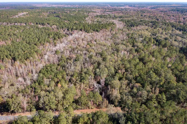 $115,000 | 1 Dennis Britt Road, St. George, SC 29477