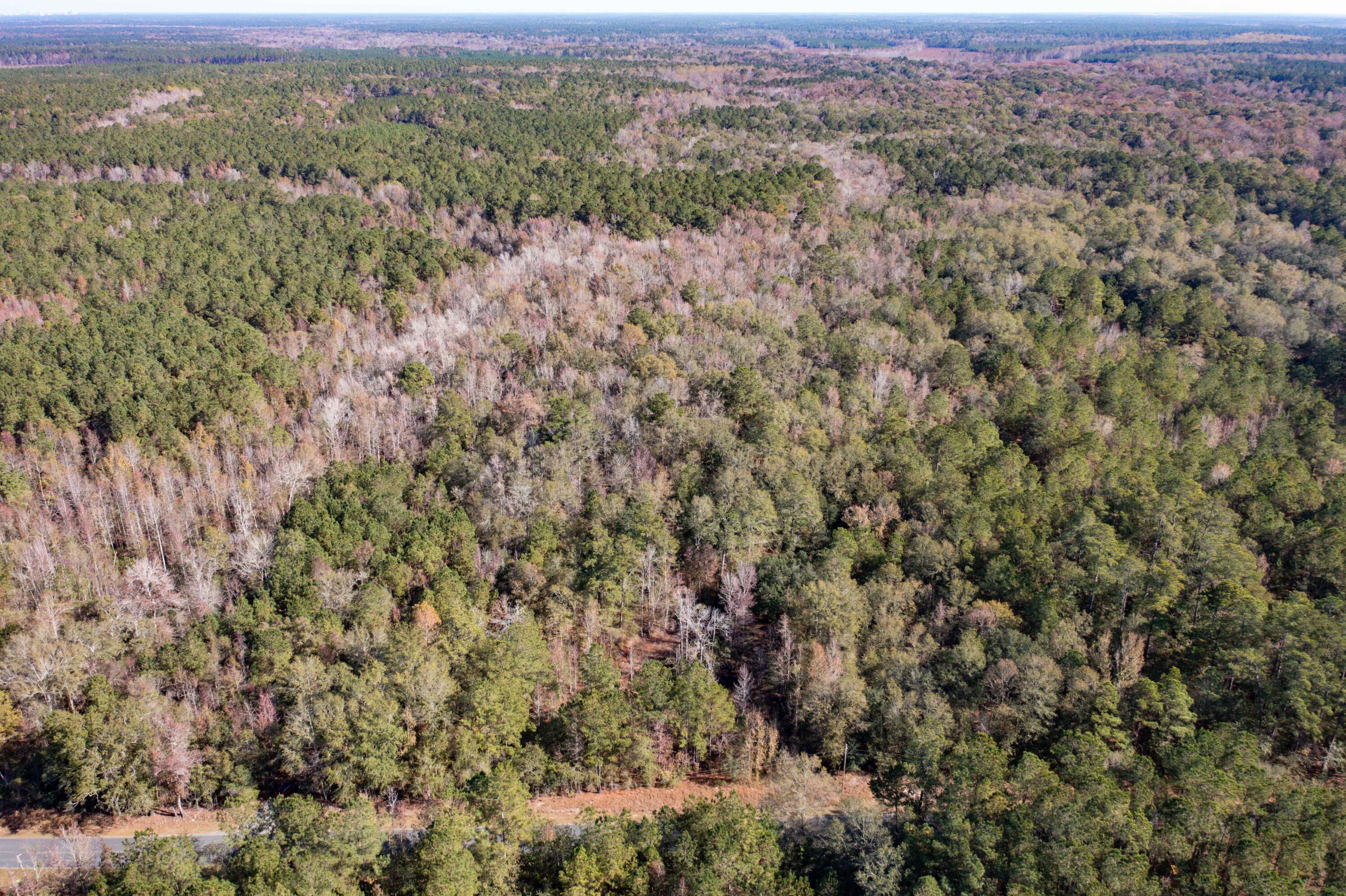 1 Dennis Britt Road St. George, SC 29477 - Photo 15 of 24 DJI_0200