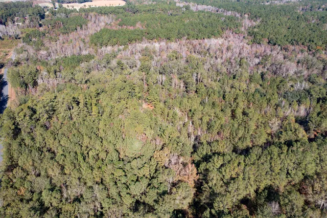 $115,000 | 1 Dennis Britt Road, St. George, SC 29477