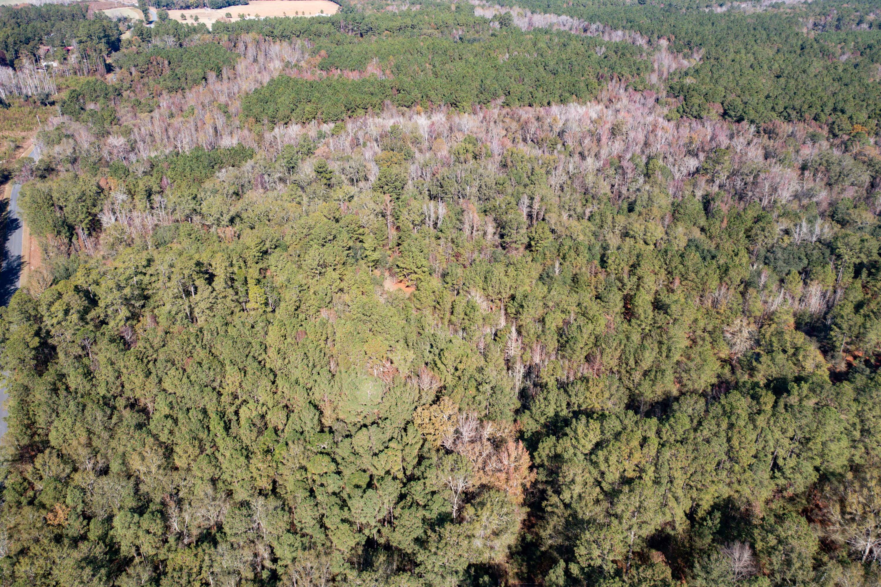 1 Dennis Britt Road St. George, SC 29477 - Photo 16 of 24 DJI_0201