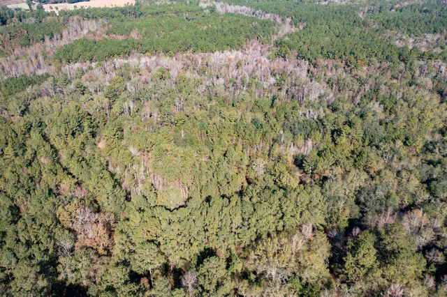 $115,000 | 1 Dennis Britt Road, St. George, SC 29477