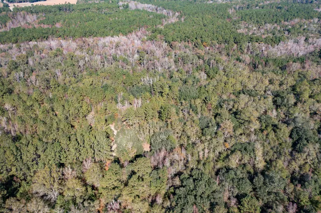 $115,000 | 1 Dennis Britt Road, St. George, SC 29477