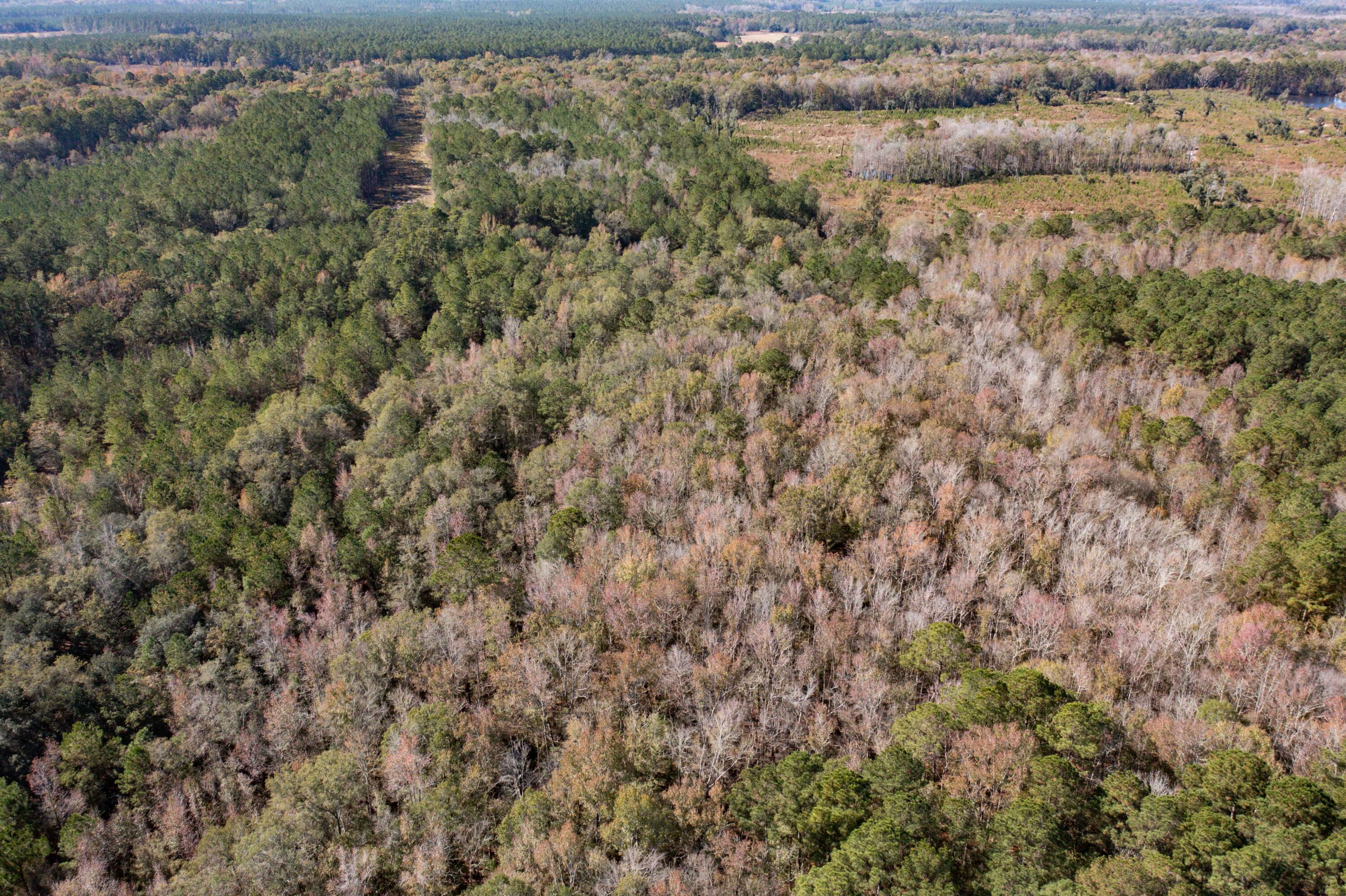 1 Dennis Britt Road St. George, SC 29477 - Photo 19 of 24 DJI_0204