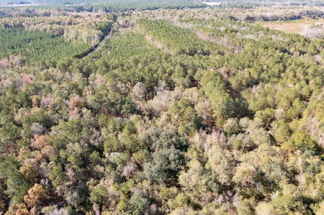 $115,000 | 1 Dennis Britt Road, St. George, SC 29477