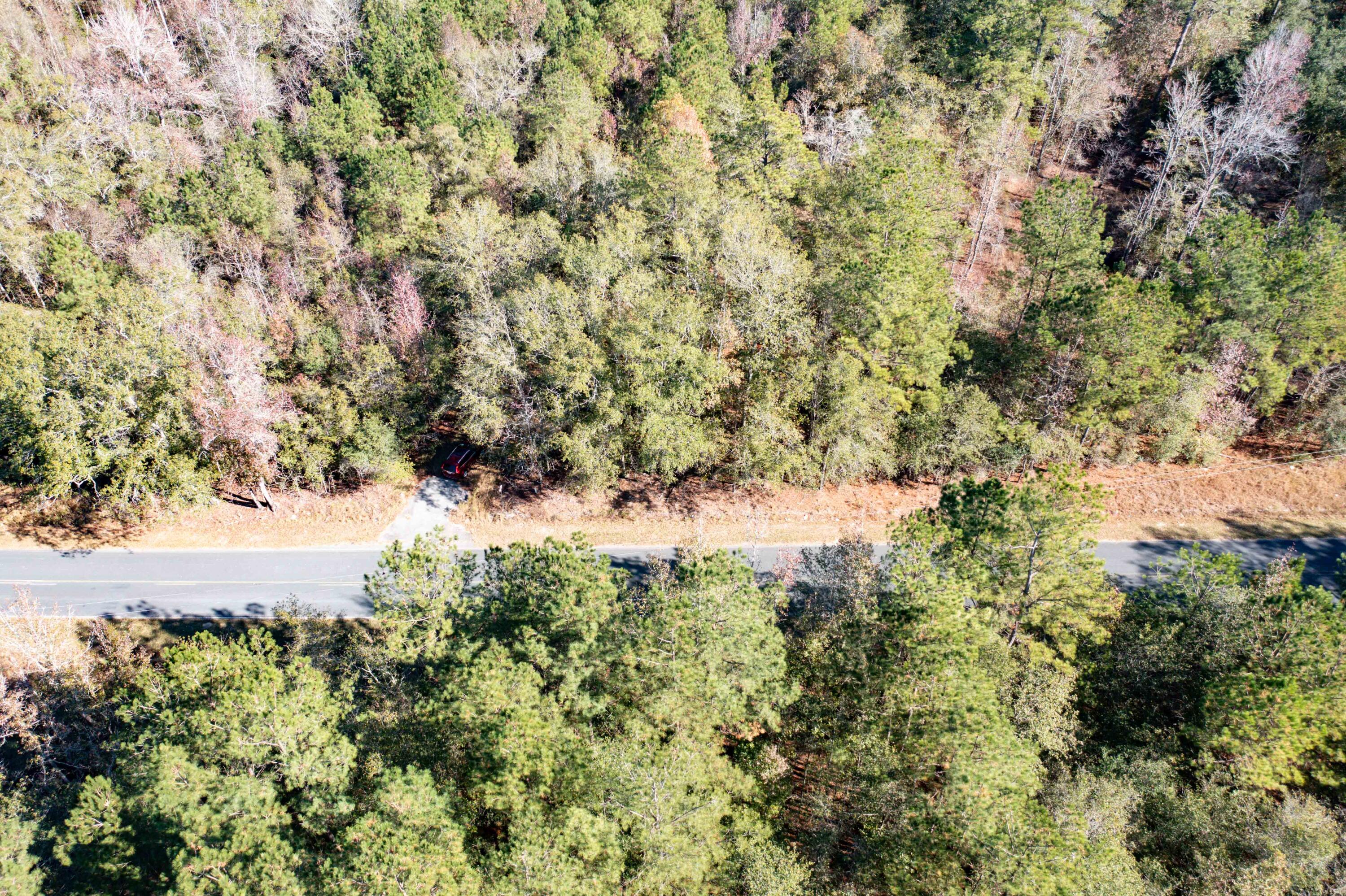 1 Dennis Britt Road St. George, SC 29477 - Photo 22 of 24 DJI_0207