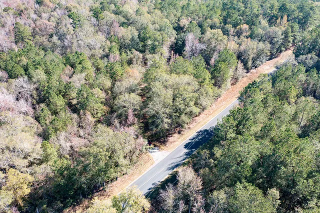 $115,000 | 1 Dennis Britt Road, St. George, SC 29477