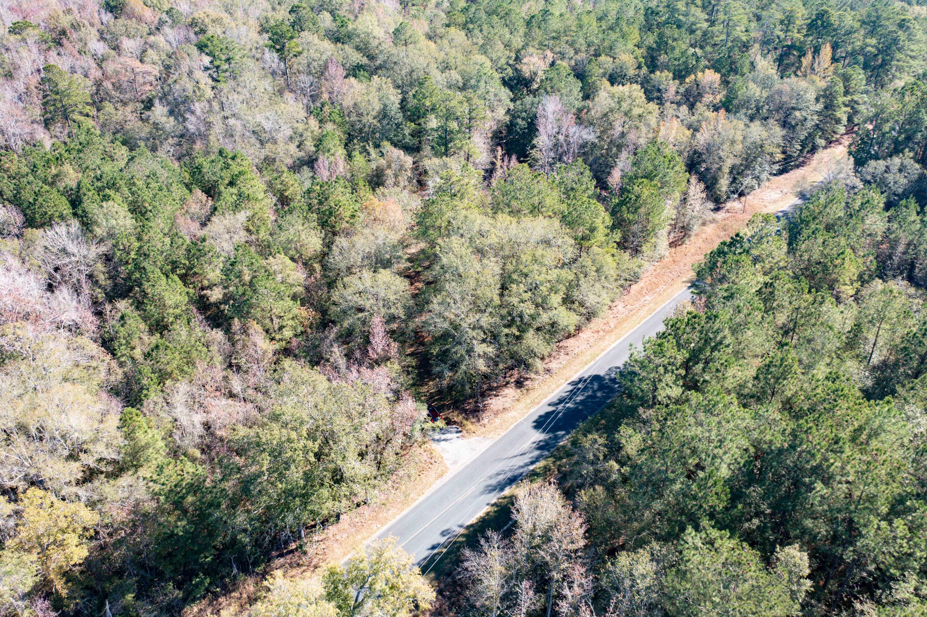 1 Dennis Britt Road St. George, SC 29477 - Photo 23 of 24 DJI_0208