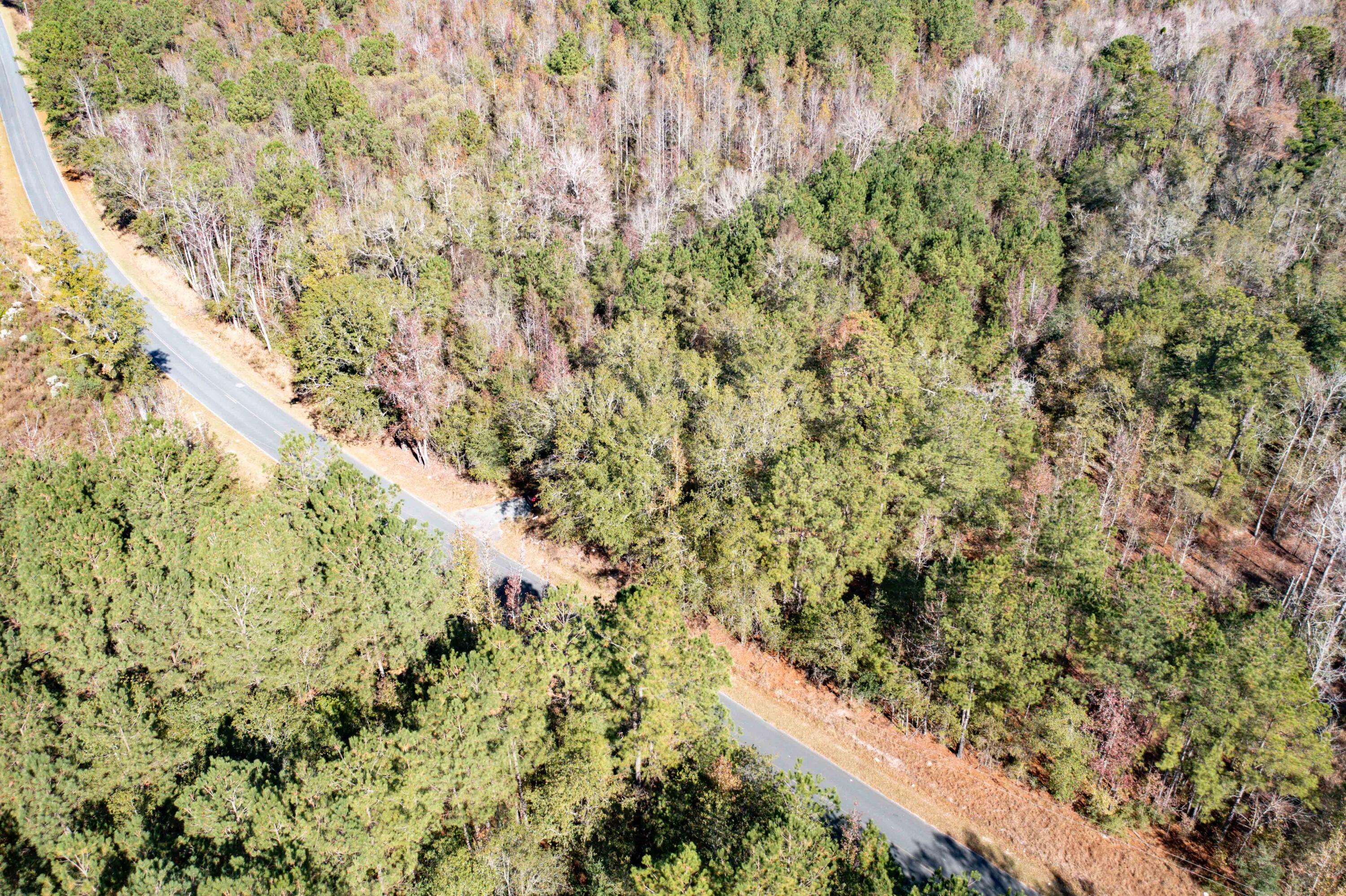 1 Dennis Britt Road St. George, SC 29477 - Photo 24 of 24 DJI_0209