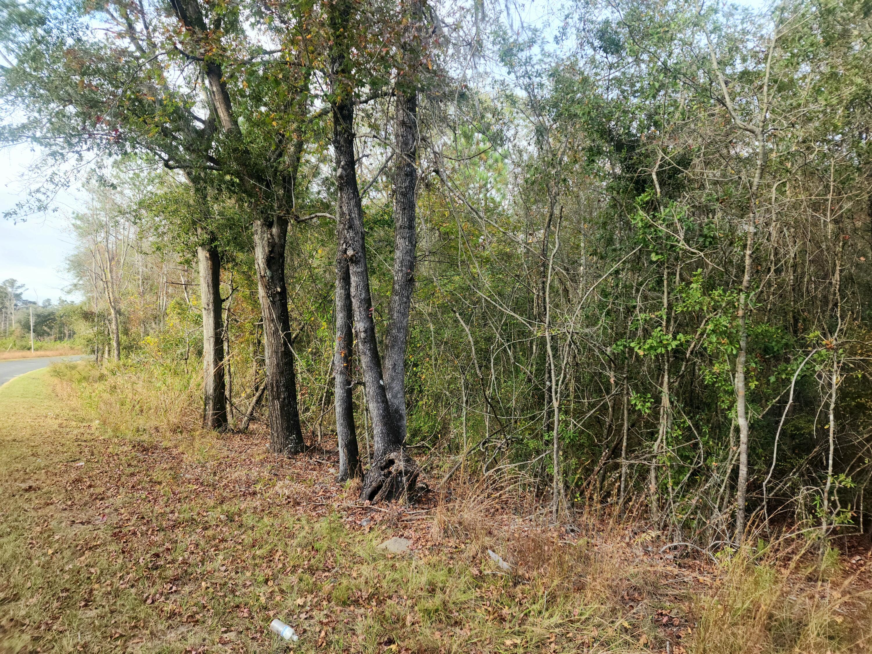 1 Dennis Britt Road St. George, SC 29477 - Photo 4 of 24 20221109_152459 (1)