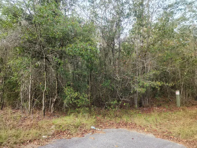 $115,000 | 1 Dennis Britt Road, St. George, SC 29477