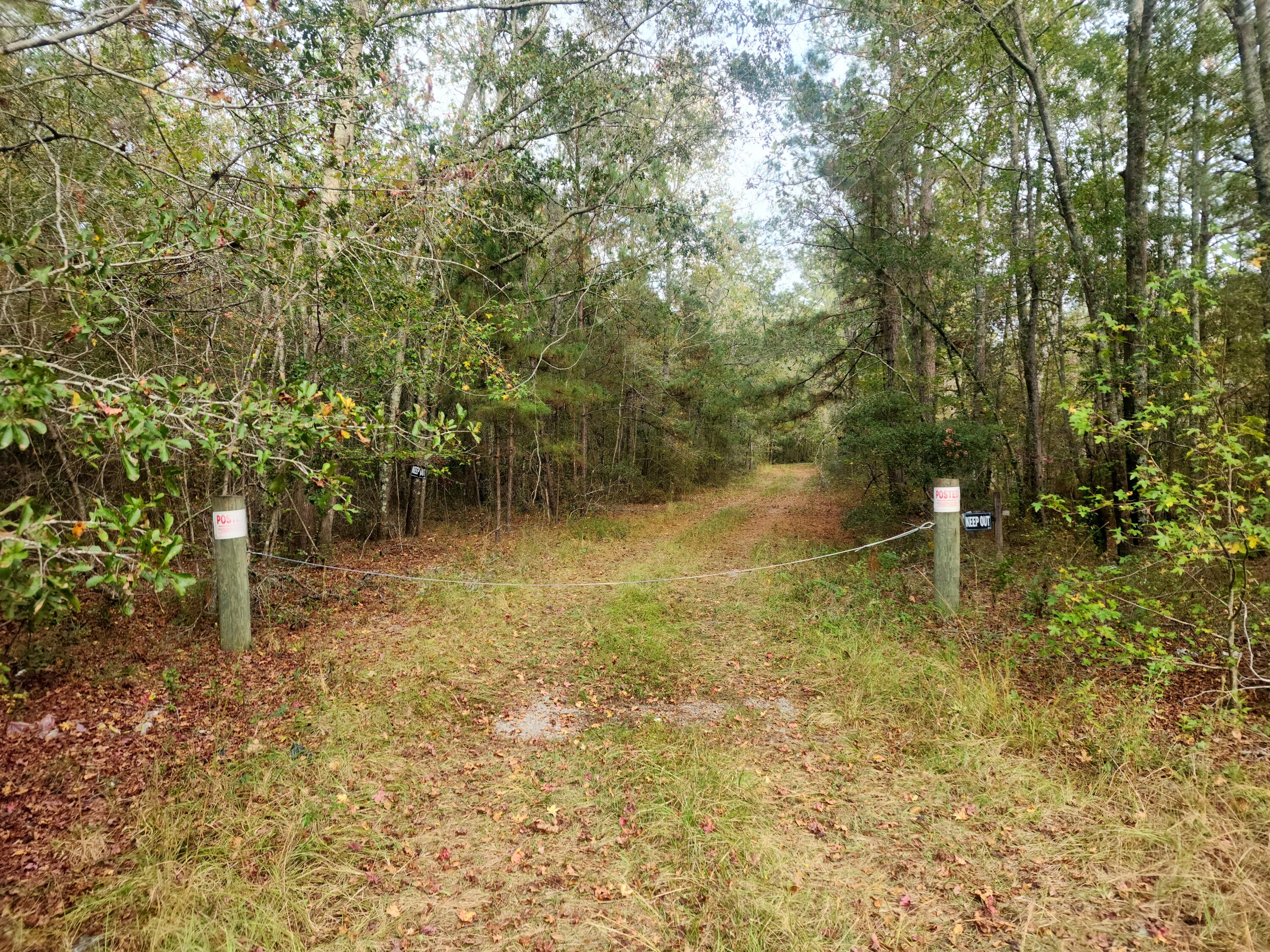 1 Dennis Britt Road St. George, SC 29477 - Photo 6 of 24 20221109_152442 (1)