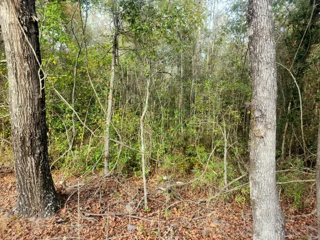 $115,000 | 1 Dennis Britt Road, St. George, SC 29477