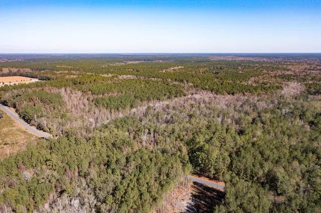 $115,000 | 1 Dennis Britt Road, St. George, SC 29477