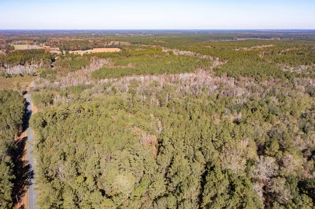 $115,000 | 1 Dennis Britt Road, St. George, SC 29477