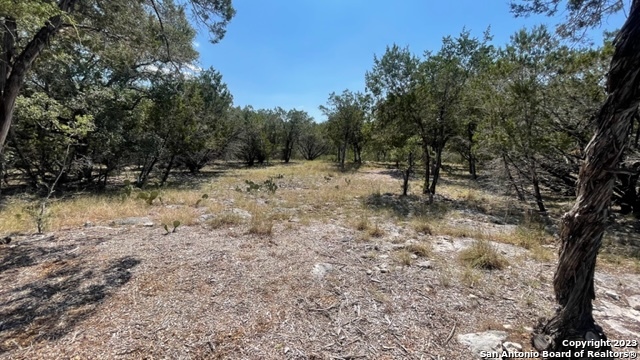 Lot 23 Broken Spur Road Bandera, TX 78003 - Photo 3 of 8
