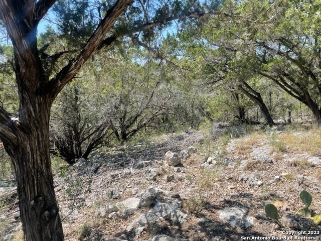 Lot 23 Broken Spur Road Bandera, TX 78003 - Photo 5 of 8