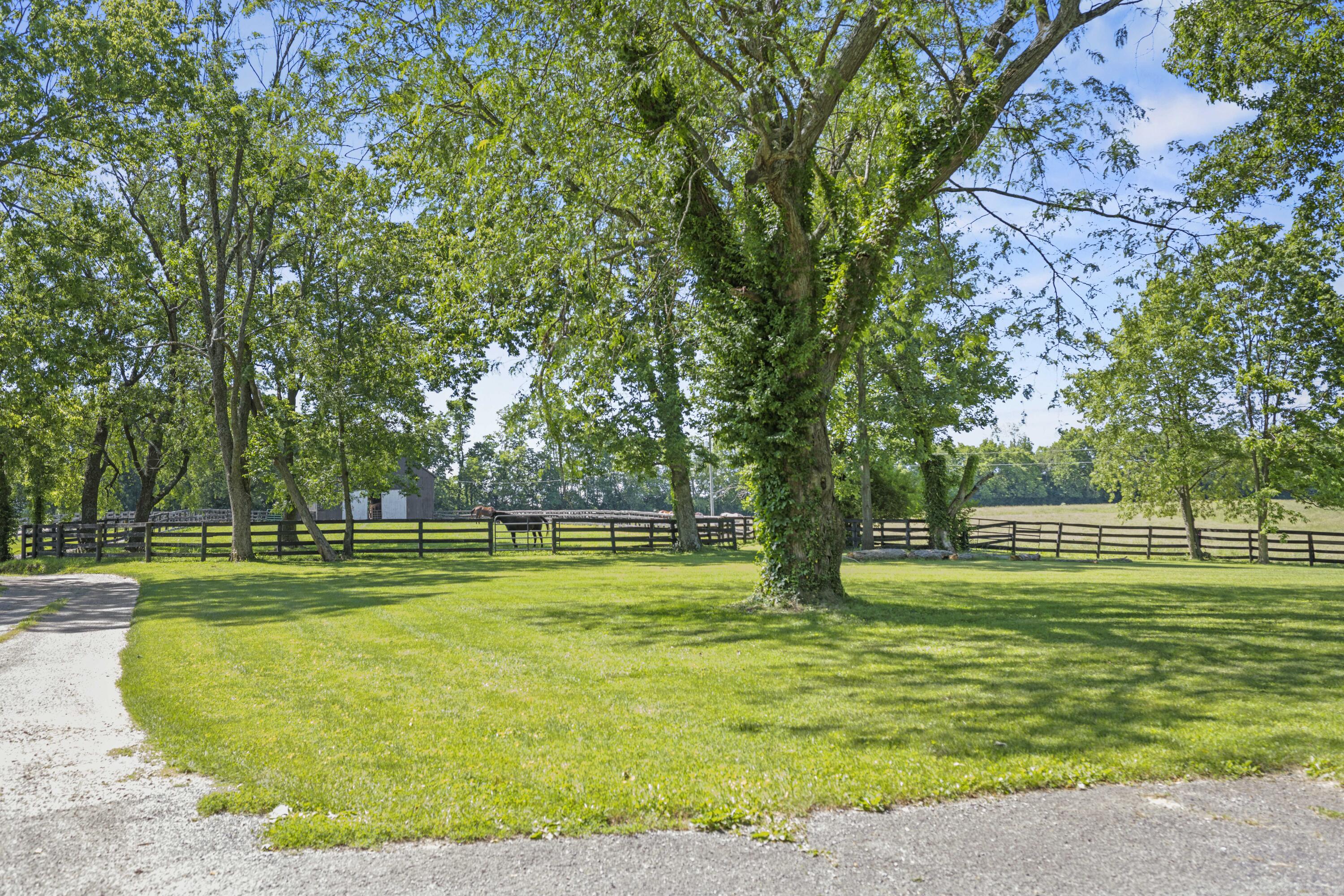 4036 North Cleveland Road Lexington, KY 40516 - Photo 38 of 41 20260603-4036-N-Cleveland-Rd-fh-124