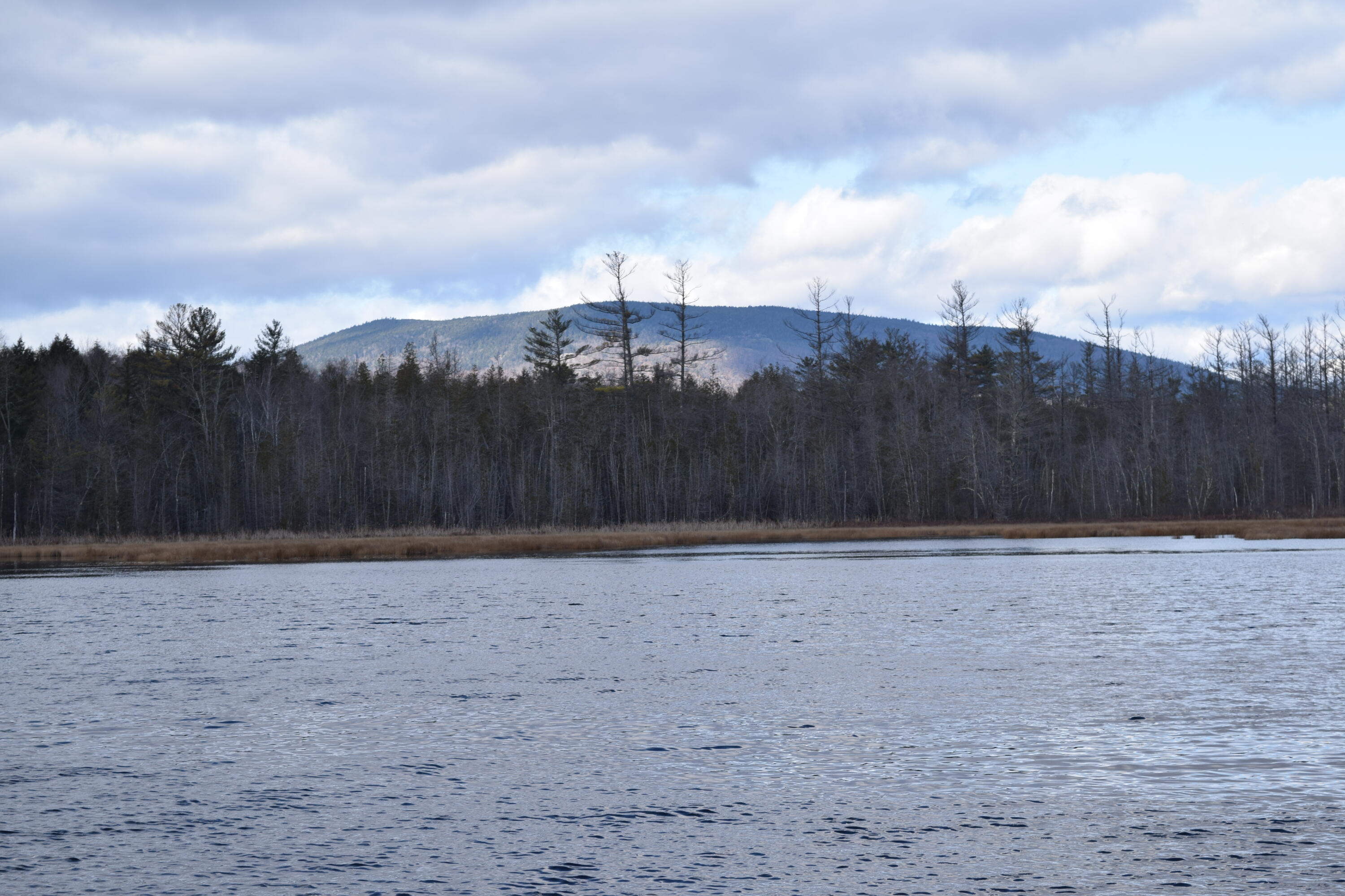 0 Valley Road Sumner, ME 04292 - Photo 1 of 30 DSC_1402