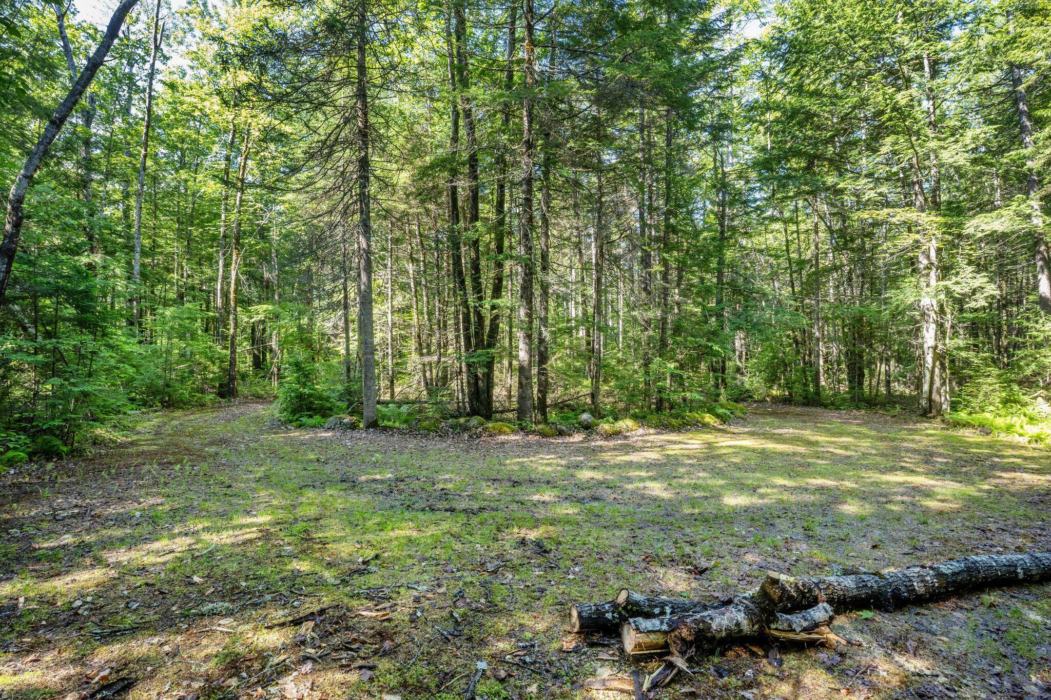 129 Hobbs Swamp Road Parsonsfield, ME 04047 - Photo 10 of 11 Hobb_Swamp_Rd_022