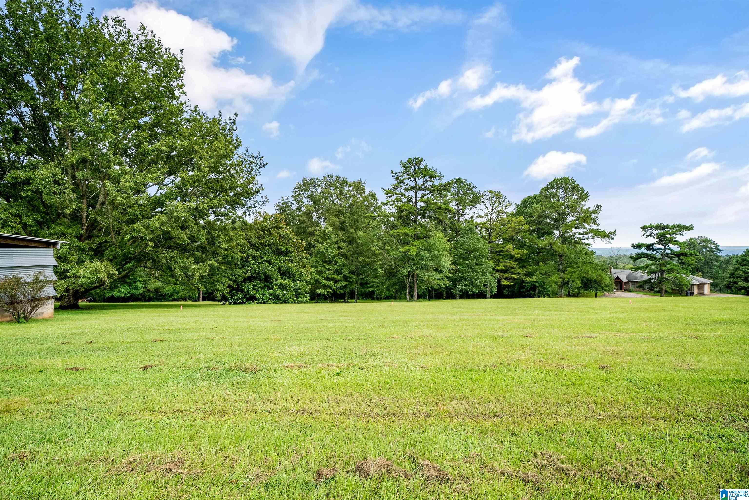 5029 South Shades Crest Road Helena, AL 35022 - Photo 9 of 48